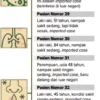 Tertular di Luar Negeri, Meninggal di Bali