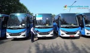 Investor BRT Mundur, Layanan Transportasi Tanggung Jawab Pemerintah