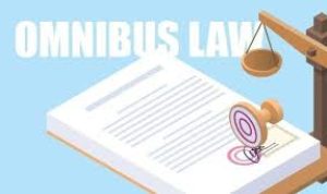 Omnibus Law lewat Baleg Lebih Efektif