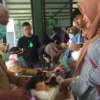 BANYAK-KUCING-MATI-MENDADAK