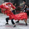 Barongsai Terkendala Regenerasi