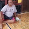 RAUP-NELAYAN-CIREBON-SELAMAT-DARI-KAPAL-TERBALIK-DI-KARIMUNJAWA