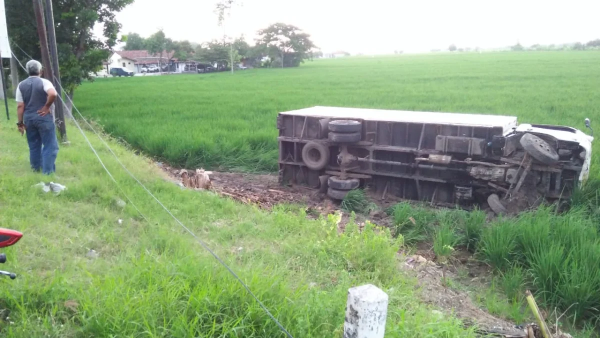 Masuk Sawah, Sopir: Pikiran Saya Seperti Kosong