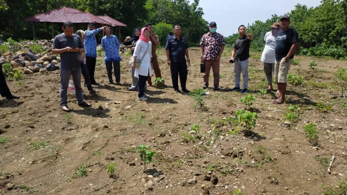 den-Kecewa Embung Sumurkondang2