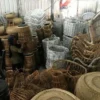 ilmi-rotan (2)