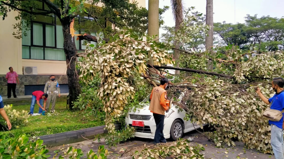 Dahan Pohon di Kantor Bupati Cirebon Patah Timpa Mobil Kabag Humas