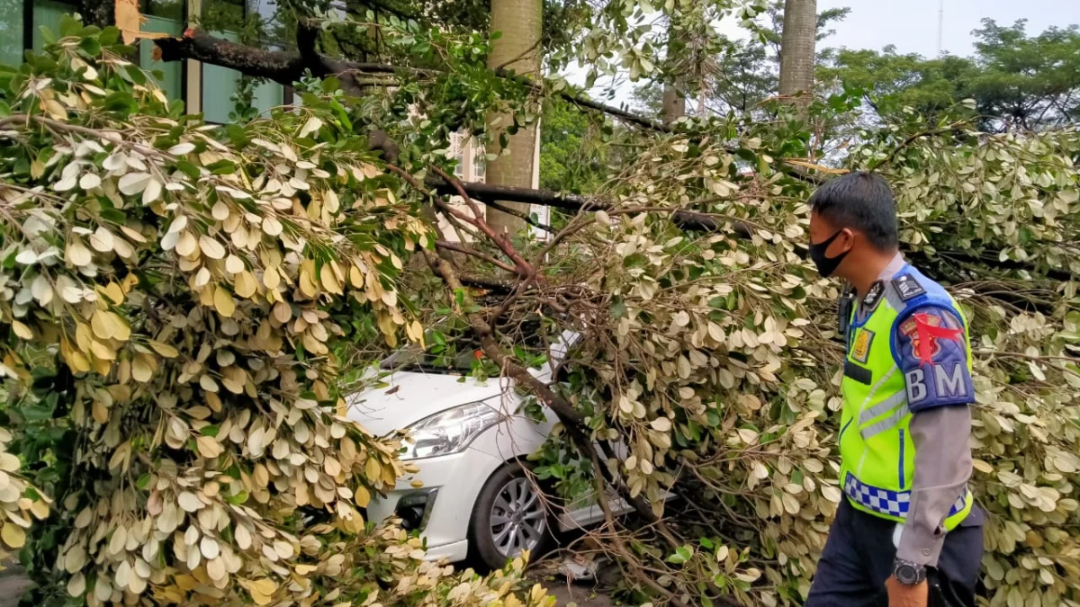 Gelombang Warga Miskin Baru