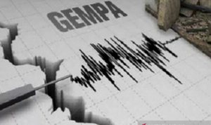 Gempa Tektonik Magnitudo 5,5 Guncang Maluku Barat Daya