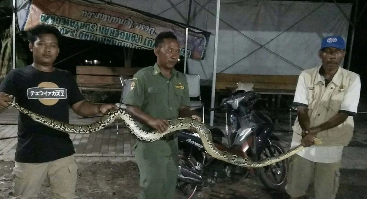 MUI: Utamakan yang Masih Hidup MUI: Utamakan yang Masih Hidup