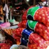 Harga Bawang Putih dan Bombay Anjlok