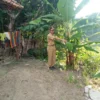den-Longsor Ancam 4 Rumah