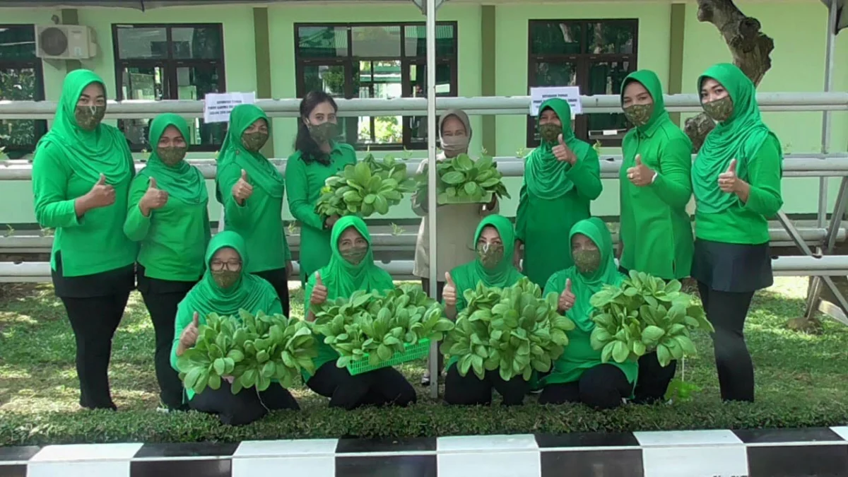 Ajak Warga Kembangkan Tanaman Hidroponik