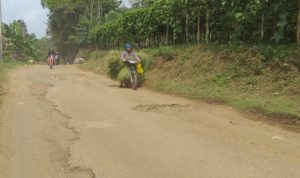 Jalan Penghubung Kabupaten Rusak