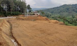 Gara-gara Pandemi, Kasus Perceraian Cenderung Turun