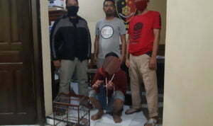 Terpergok Curi Burung, Babak Belur Terpergok Curi Burung, Babak Belur