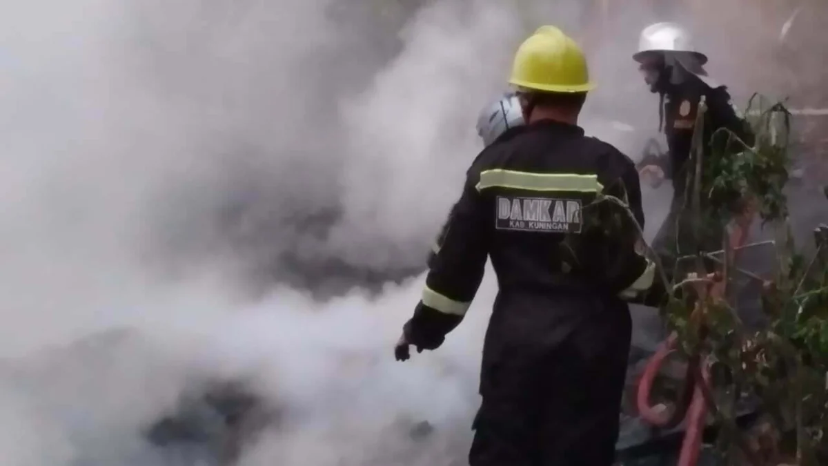 Kandang Ayam Terbakar, 3.000 DOC Terpanggang