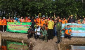 Tangkal Abrasi, Tanam Mangrove