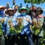 Panen Kacang Tanah di Lahan Kritis