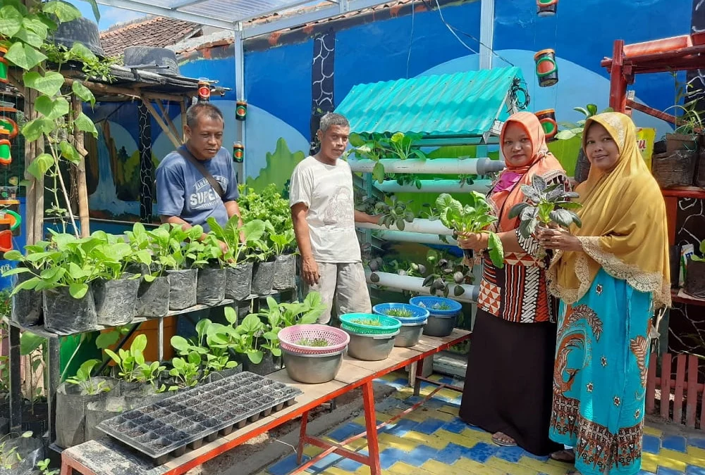 KPLH Mawar Hijau yang Sudah Menghasilkan