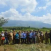 Optimalkan Lahan Produktif