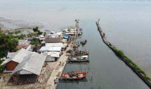 mangrove-kota-cirebon