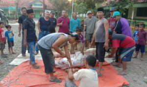 Keluarga Besar PUI Segeran Kidul Berkurban