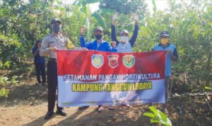 Kalensari Jadi Kampung Tangguh Lodaya Kalensari Jadi Kampung Tangguh Lodaya