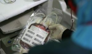 Terapi Plasma untuk Pasien Covid-19, Kota Cirebon Tunggu Hasil Uji Coba Daerah Lain donor-darah