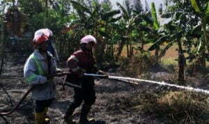 Nyaris Bakar Perumahan dan Musala