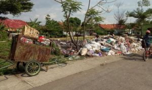 Rutin Bayar Retribusi, Sampah Masih Numpuk