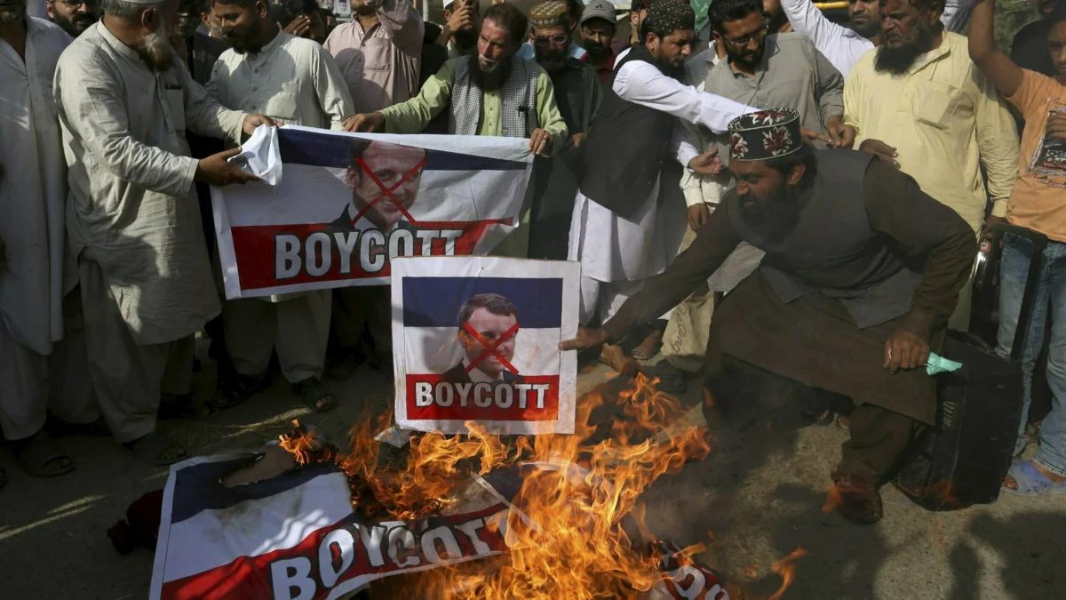 Pakistan France Protest