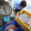 Banyak Perahu Nelayan Dijual