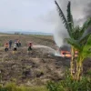 Traktor Terbakar, Rugi Rp300 Juta