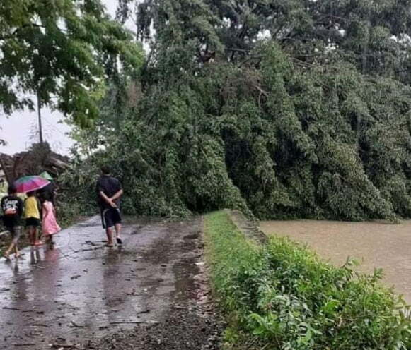 3 Pohon Tumbang, 11 Rumah Rusak