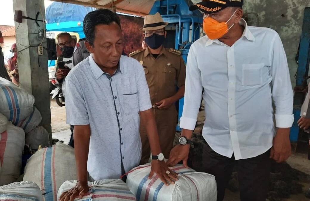 Pandemi Covid-19, Petani Rumput Laut Tetap Bertahan