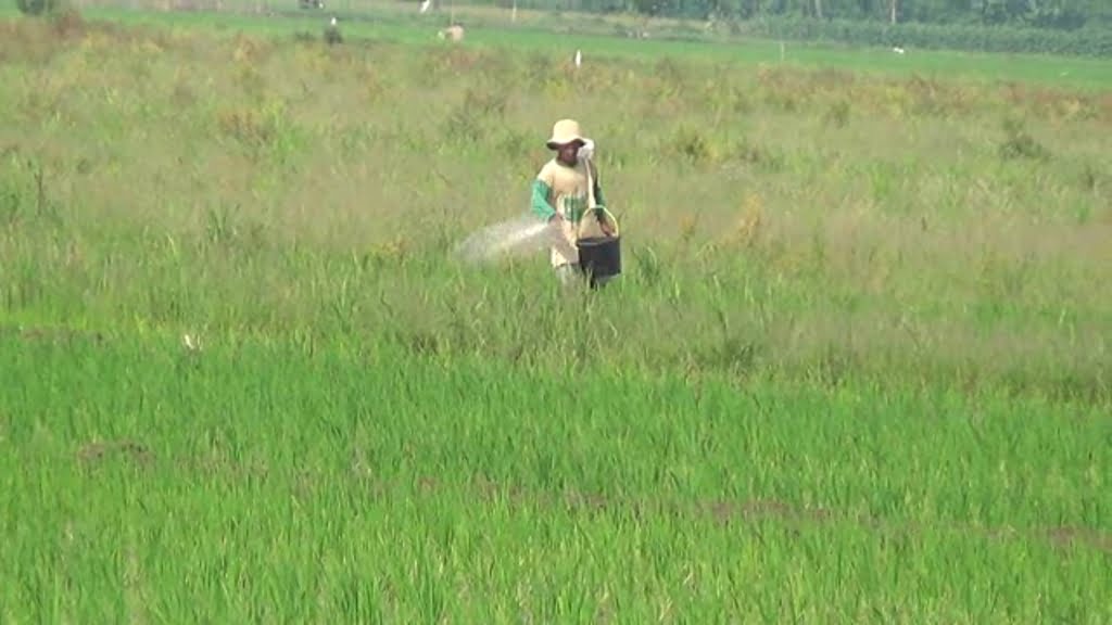 Banyak Petani Tak Masuk E-RDKK