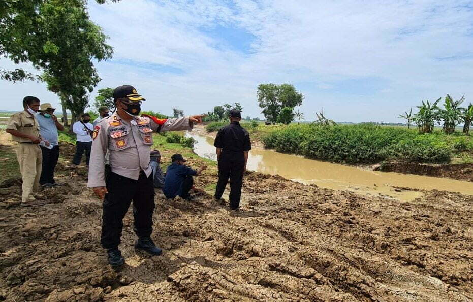 Perbaikan Tanggul Tuntas, Petani Mulai Tanam Padi