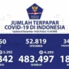 Sinovac Manjur 97 Persen Lawan Corona