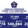 546.884 Orang Sudah Sembuh