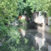 sungai-kota-cirebon-tercemar