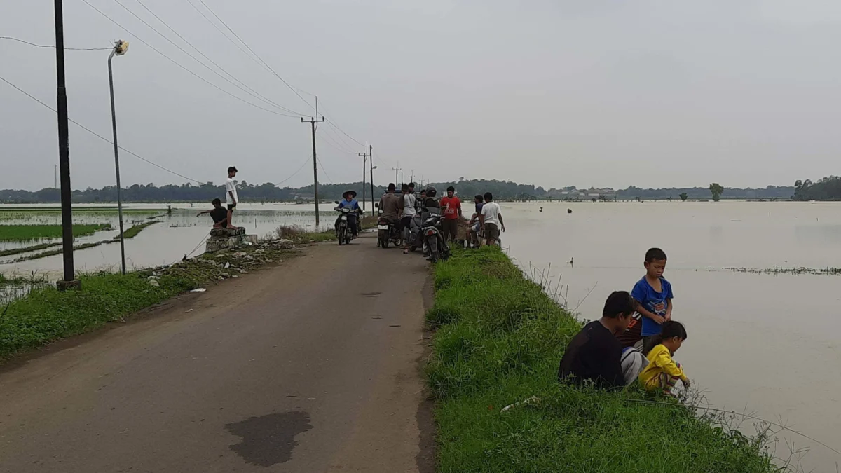 Banjir, Ramai-Ramai Mancing di Sawah