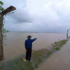 sawah-kabupaten-cirebon-terendam-banjir