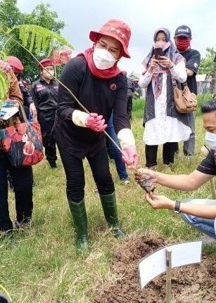 Bupati Terpilih Tanam Seribu Pohon