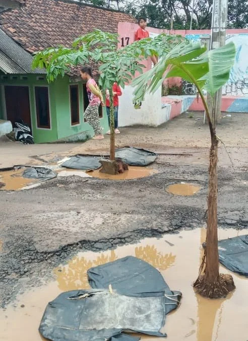 jalan-rusak-ditanam-pisang