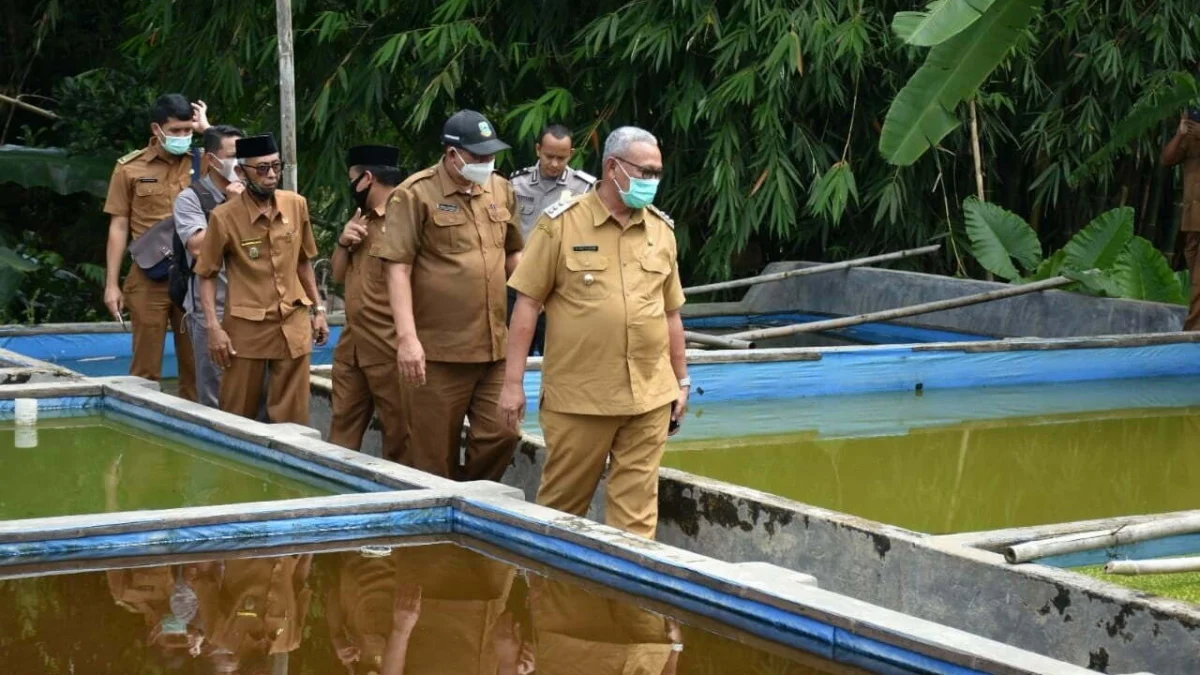 Lebakwangi Siap Jadi Kampung Gurami Tambak-Gurami