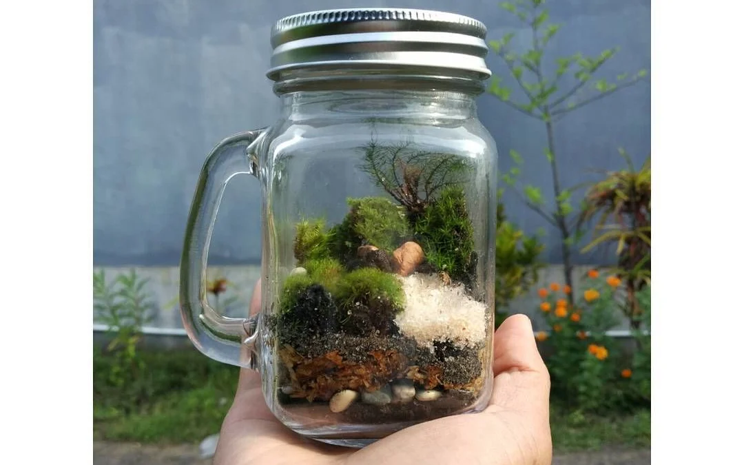 Bercocok Tanam Terrarium, Ekosistem dalam Wadah Kaca