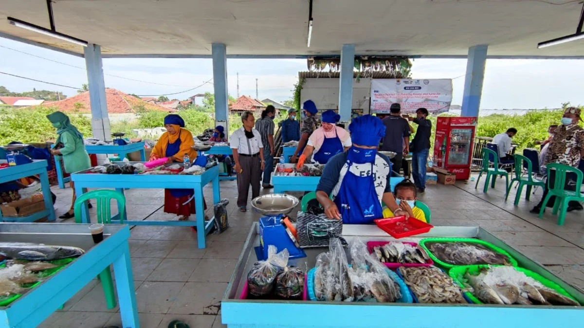 *Menggali Potensi Ekonomi dan Perikanan Desa Bandengan dan Citemu (2)