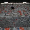 Surplus, Tapi Tergantung Pasokan