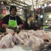 Harga Daging Ayam Negeri Masih Mahal