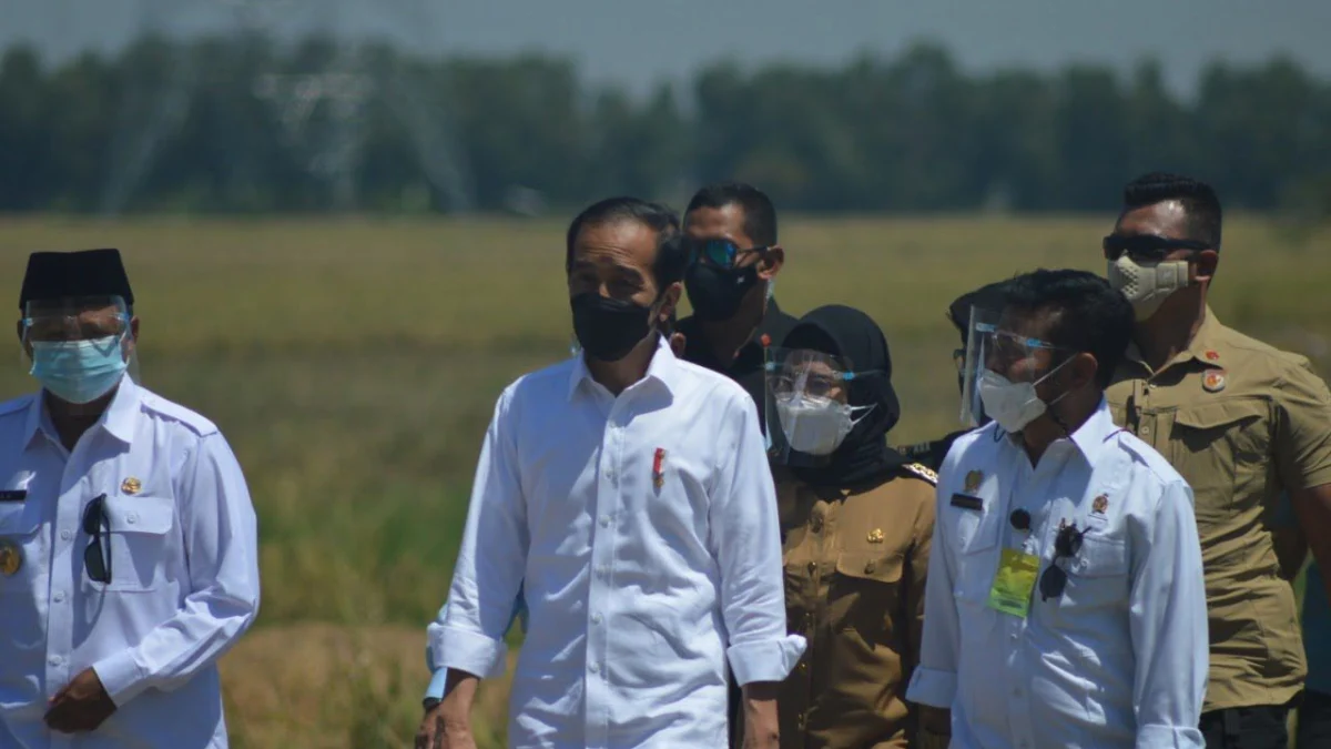 Indramayu Penghasil Beras Tertinggi Nasional